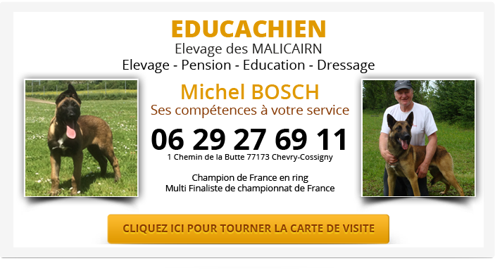 Educachien Chevry-Cossigny